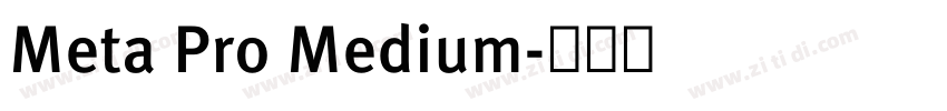 Meta Pro Medium字体转换